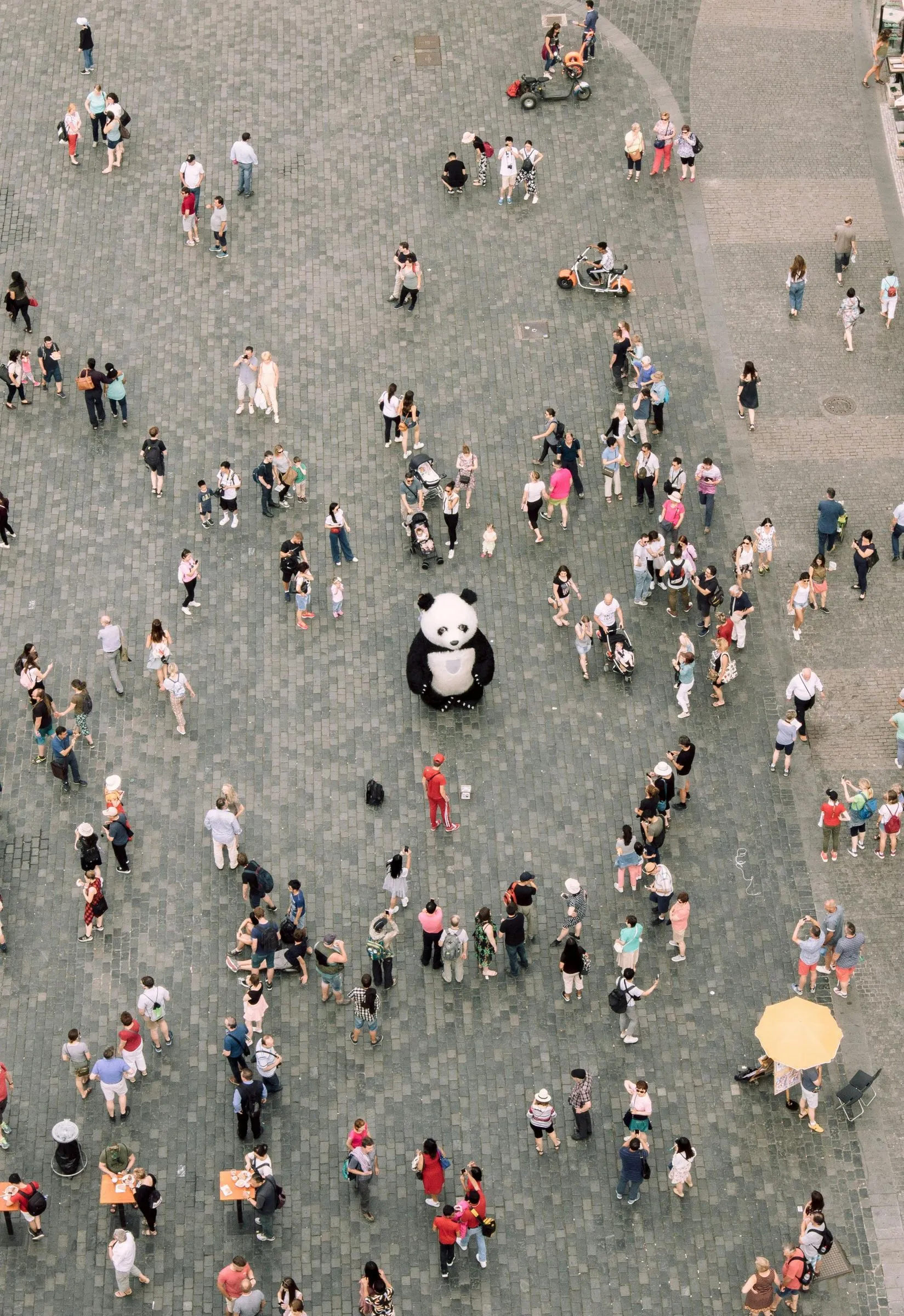 Pandamascotte tussen mensen op een plein, van bovenaf